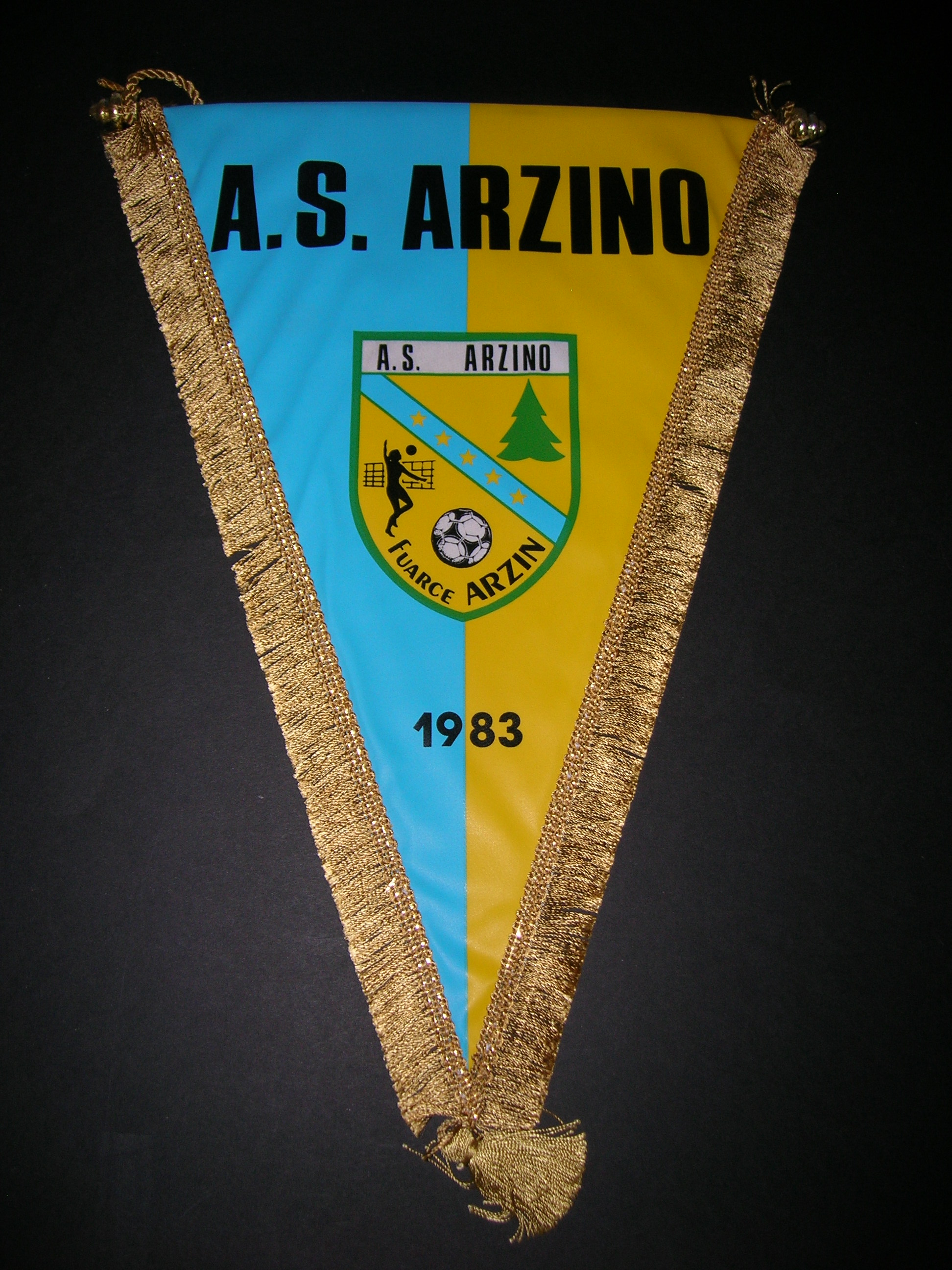 A S.  Arzino  265